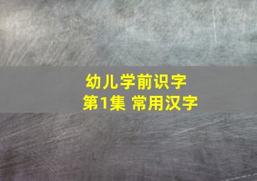 幼儿学前识字 第1集 常用汉字